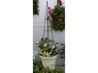 �I�x���X�N�~���P�Q�O