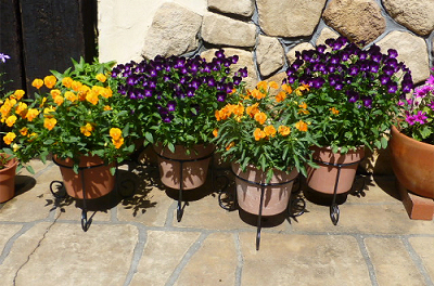 �Z�~�I�[�_�[�~�j�X�^���h2014